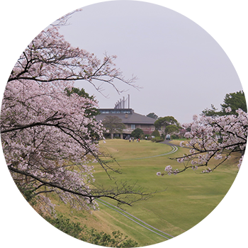 桜コース風景